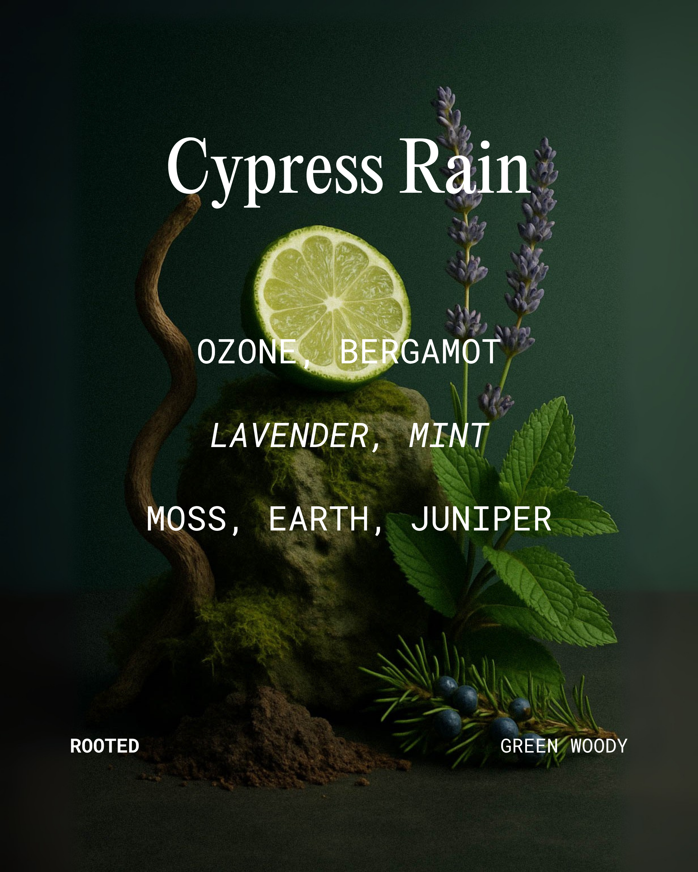 Cypress Rain – Candle Jar