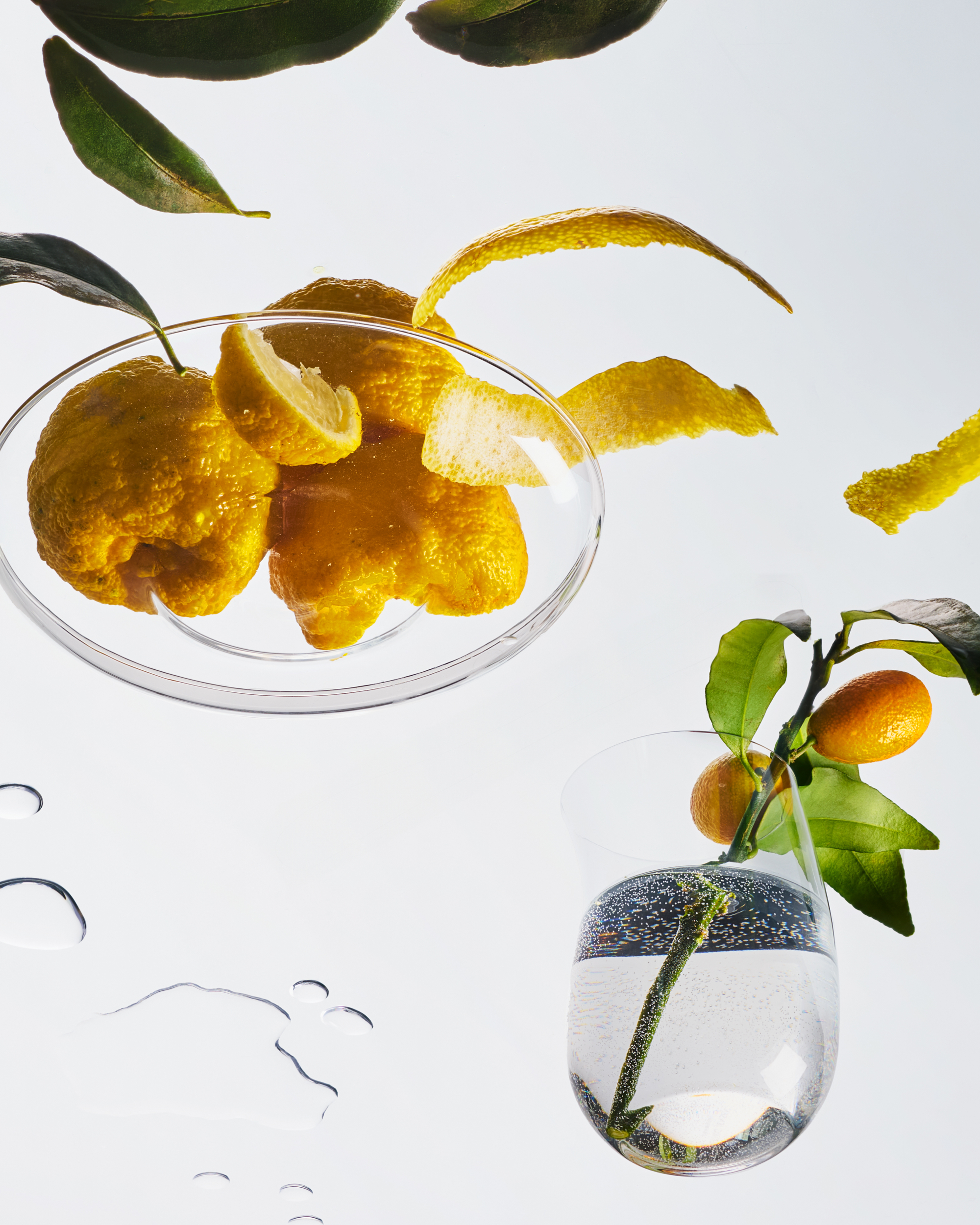 Yuzu – Candle Tin