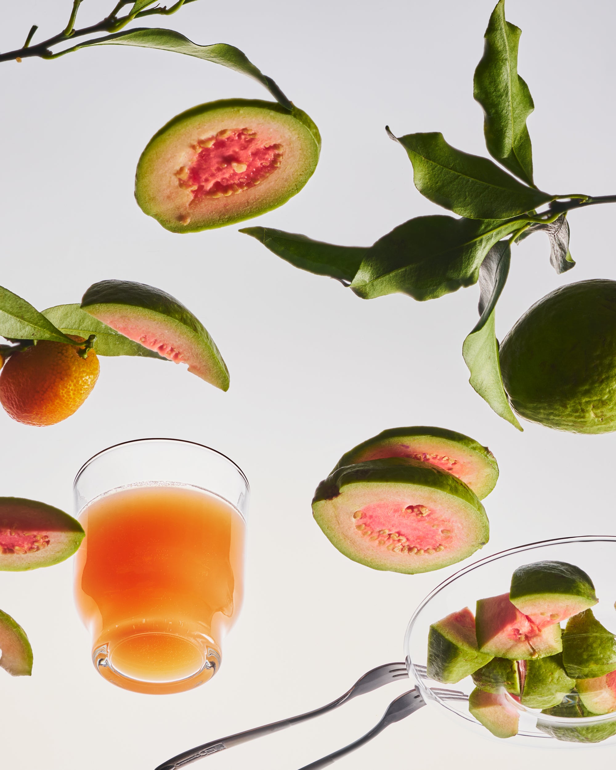 Calamansi Guava – Candle Tin