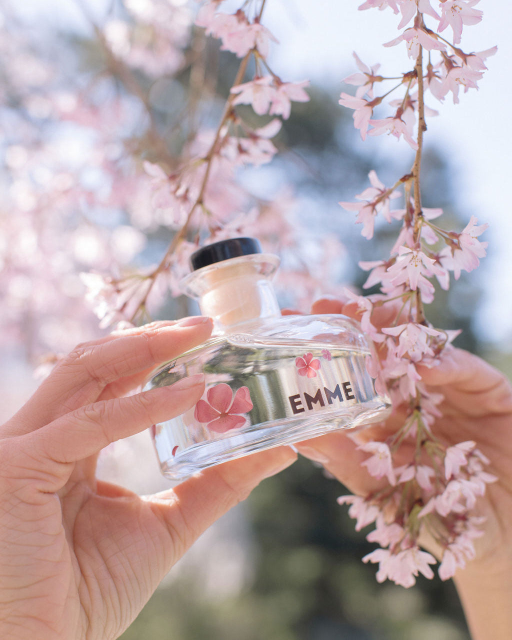 Limited Edition Sakura (Cherry Blossom) - Reed Diffuser