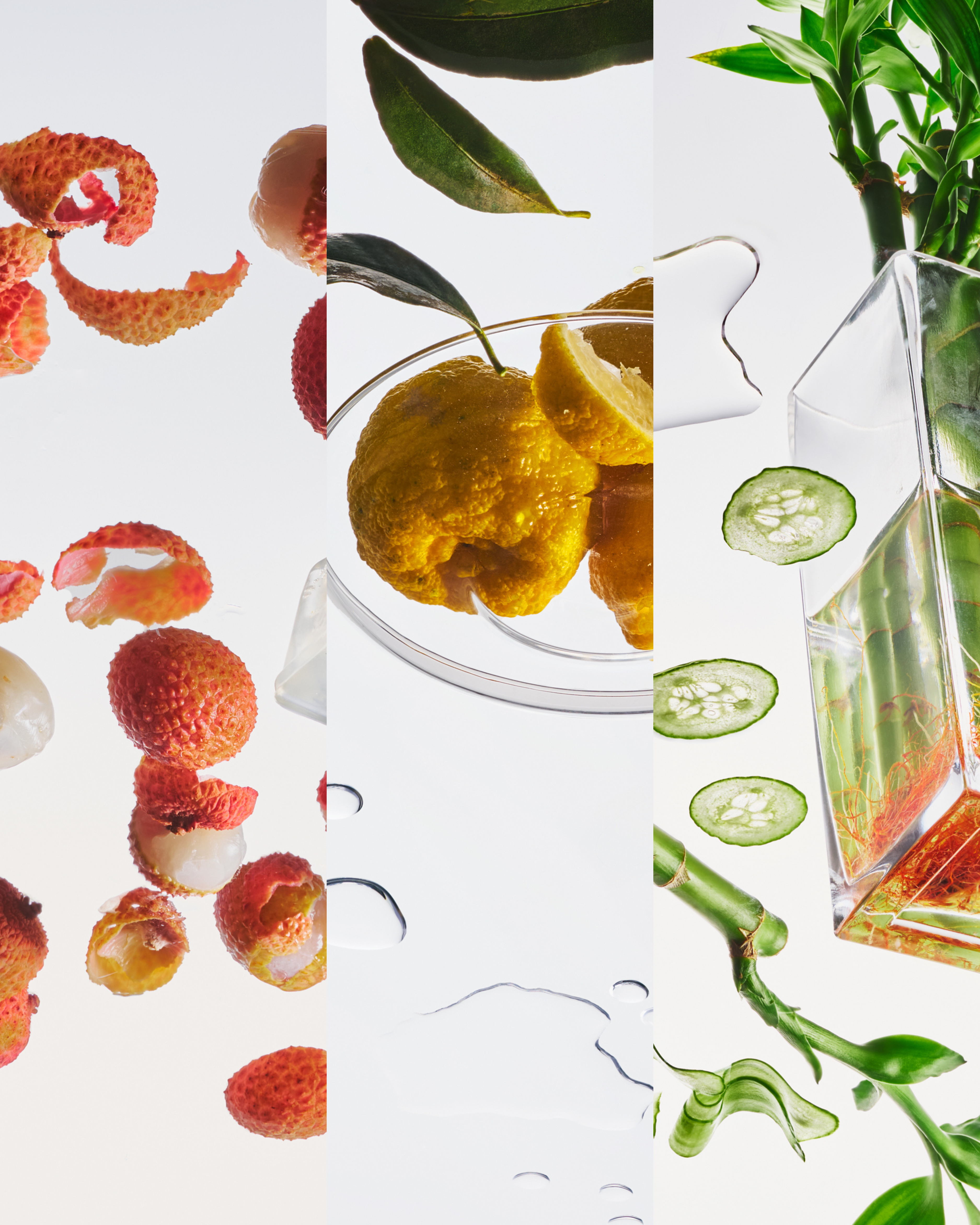 Year of the Horse - Candle Tin Bundle